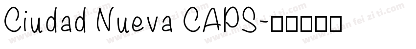 Ciudad Nueva CAPS字体转换